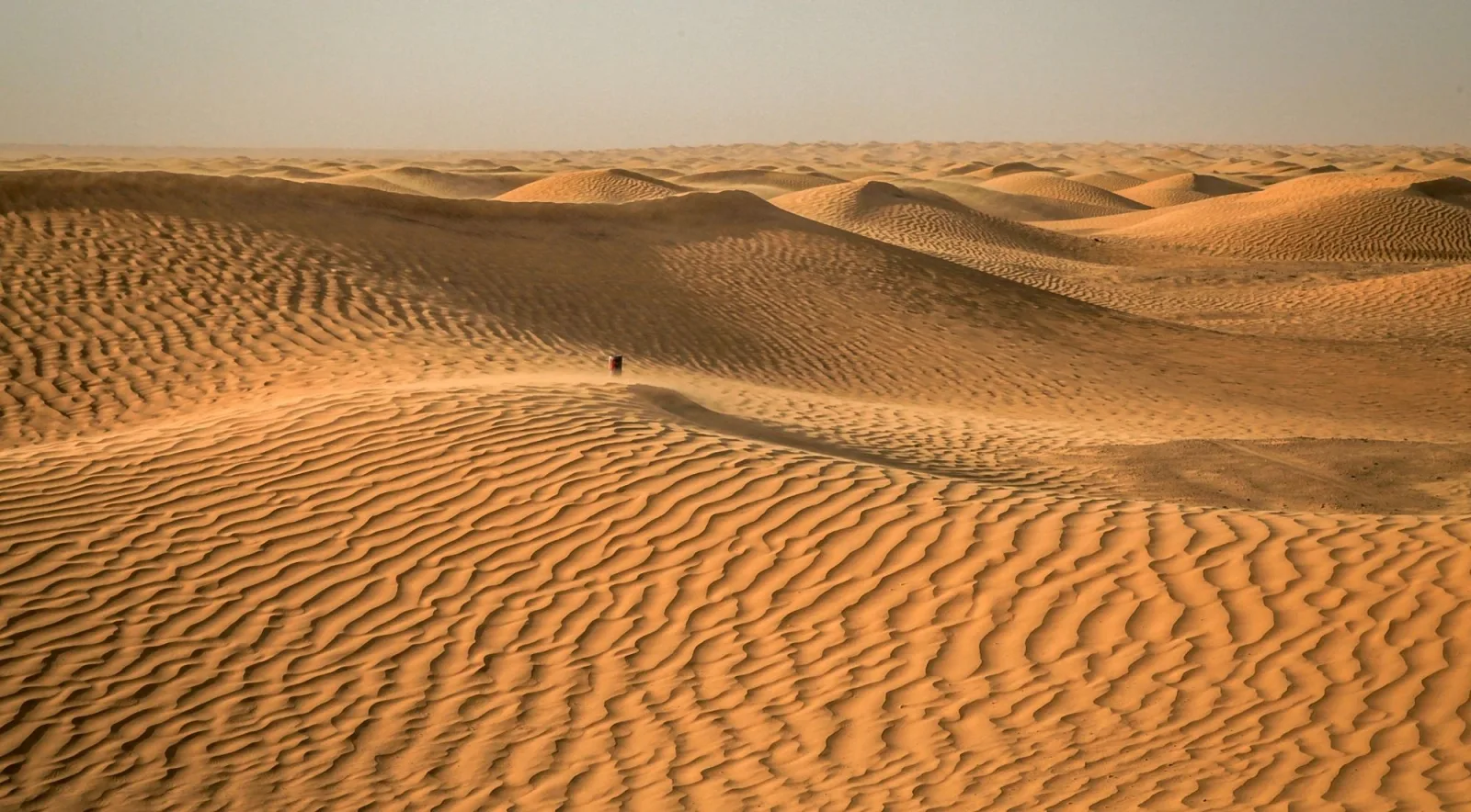 Rippled dunes of the Grand Erg Oriental with a lone walker on the crest