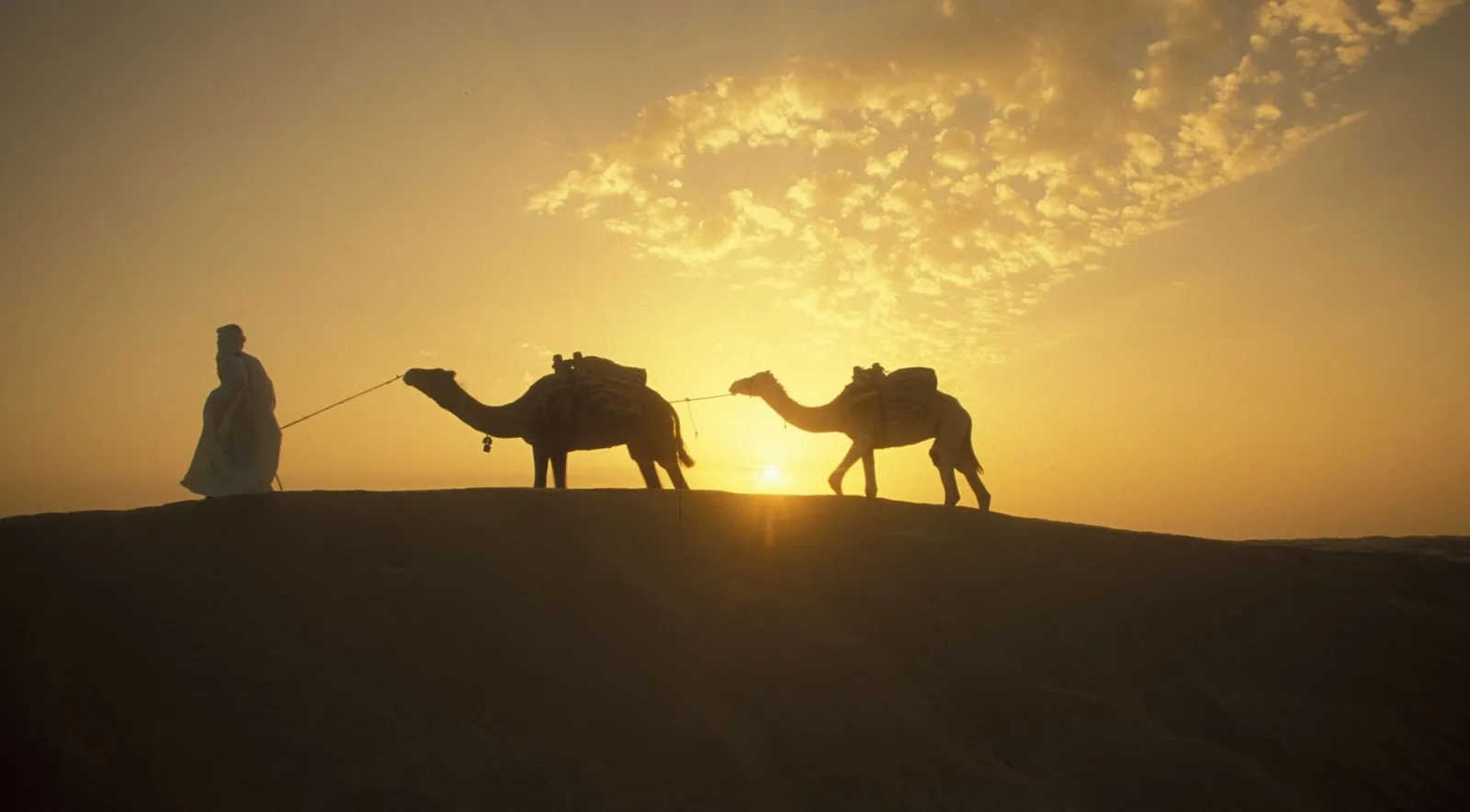 Camel caravan silhouetted against the sun on a Sahara dune ridge