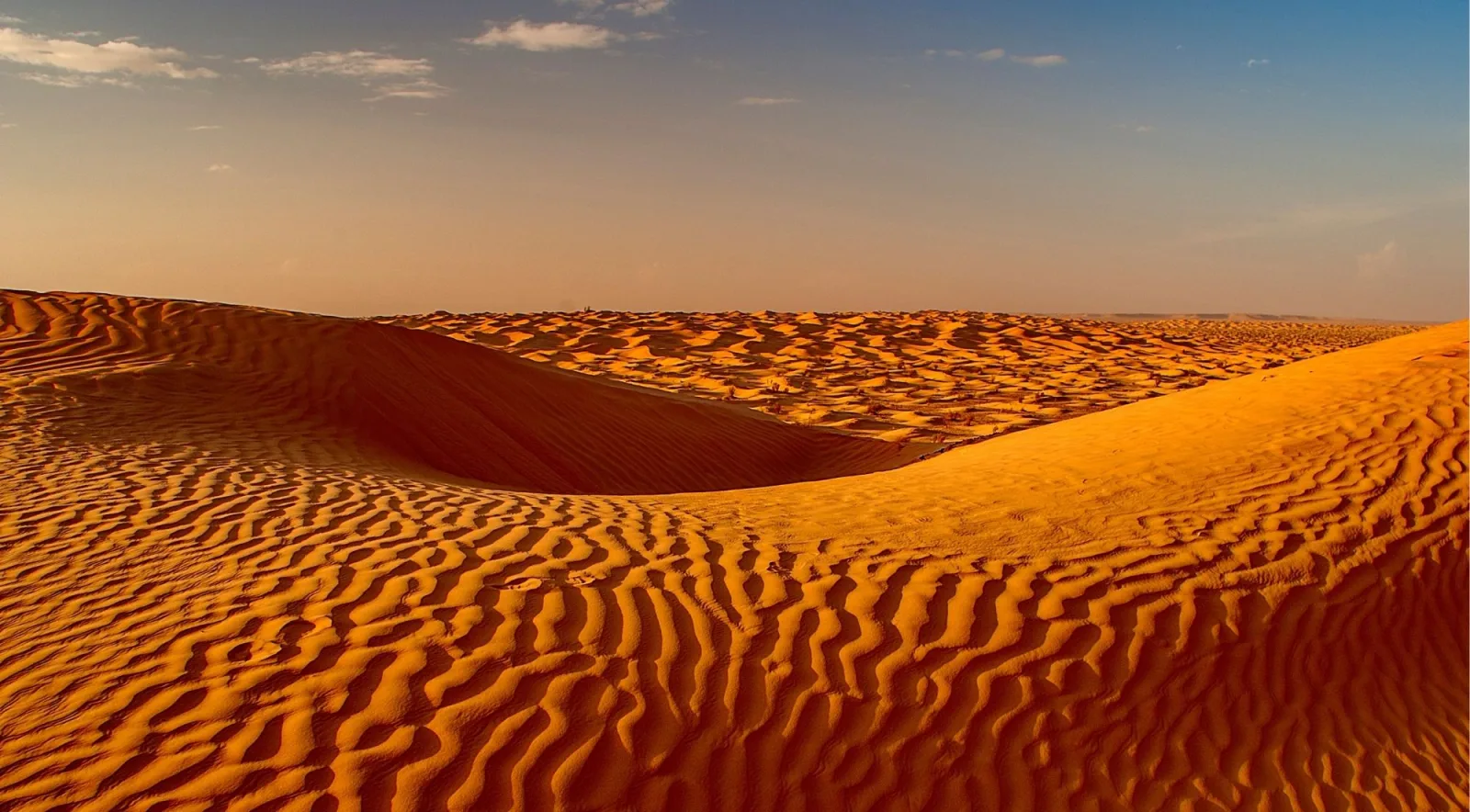 Steep orange dune ridge at golden hour in the Tunisian Sahara