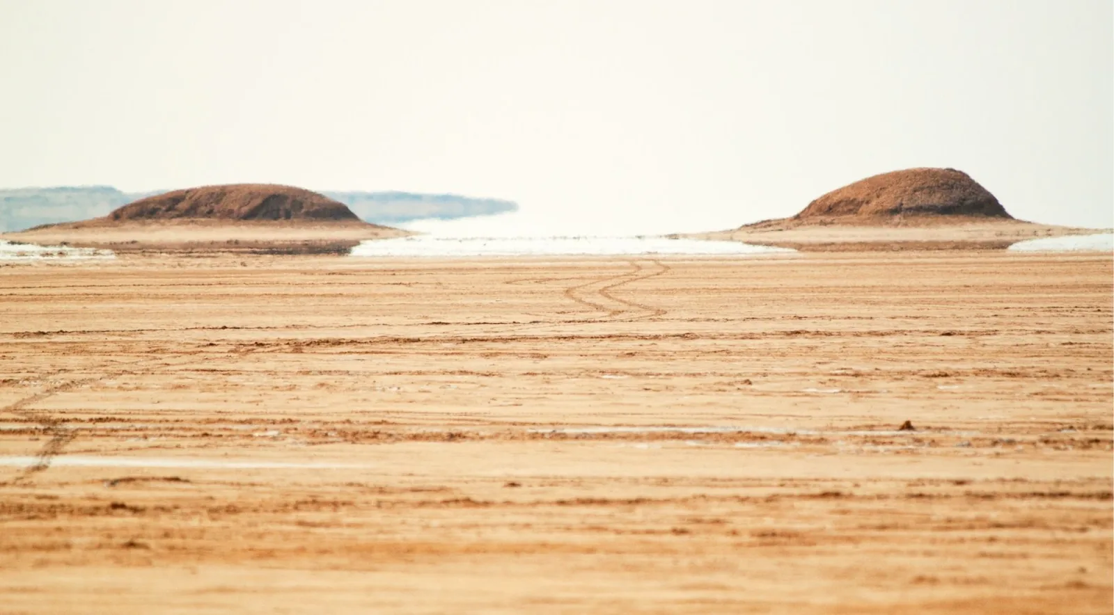 Chott el Jerid salt pan shimmering into mirage under a pale sky