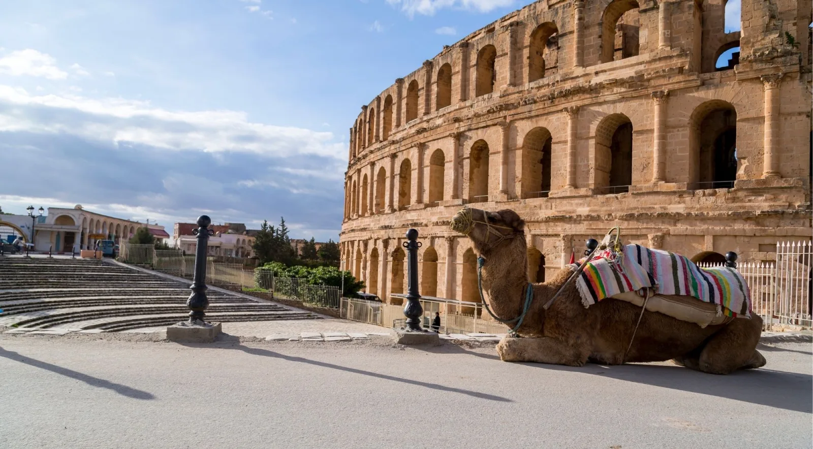 The Roman amphitheatre at El Jem with a camel resting in front of it