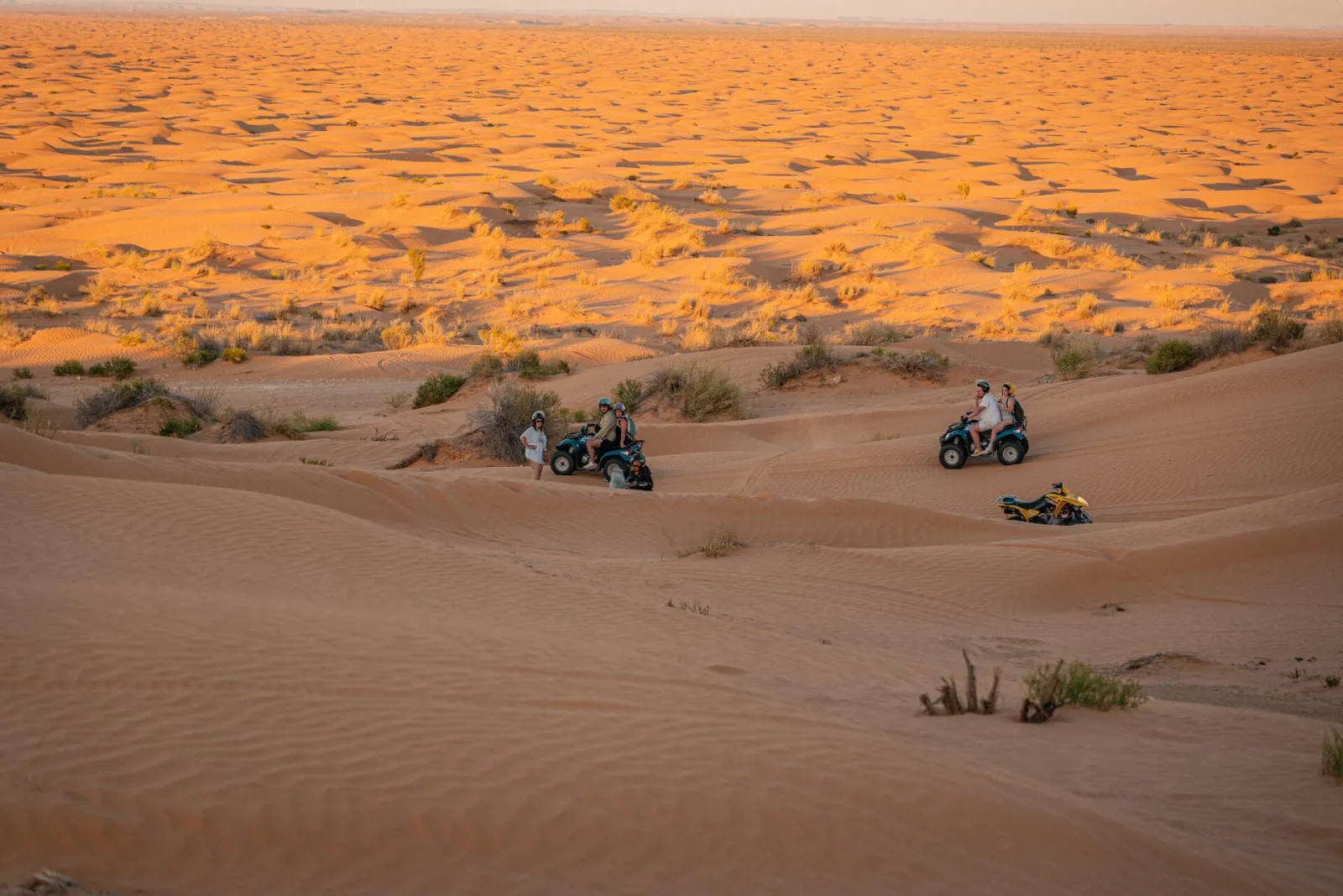 Quad bikes spread across the open sand in the evening light