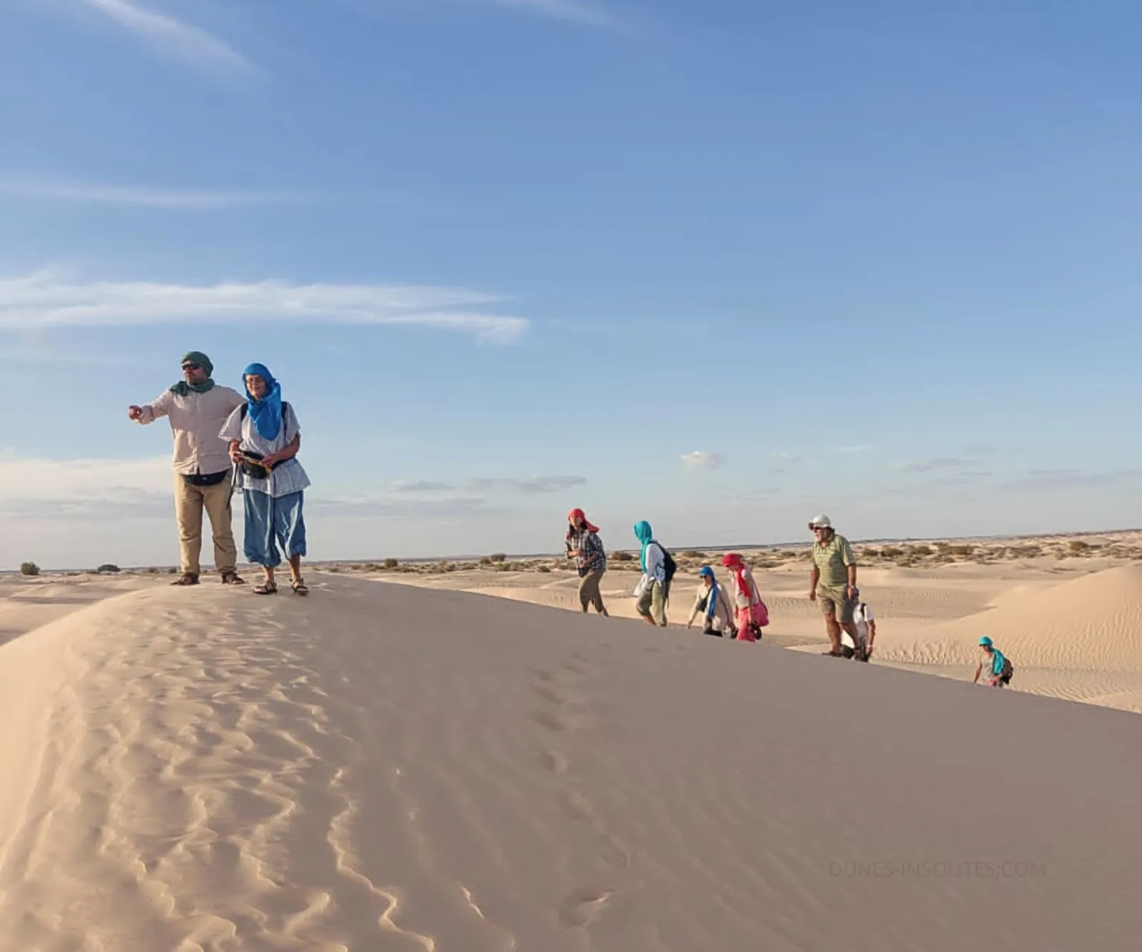 A group walking the ridge of a dune in the morning
