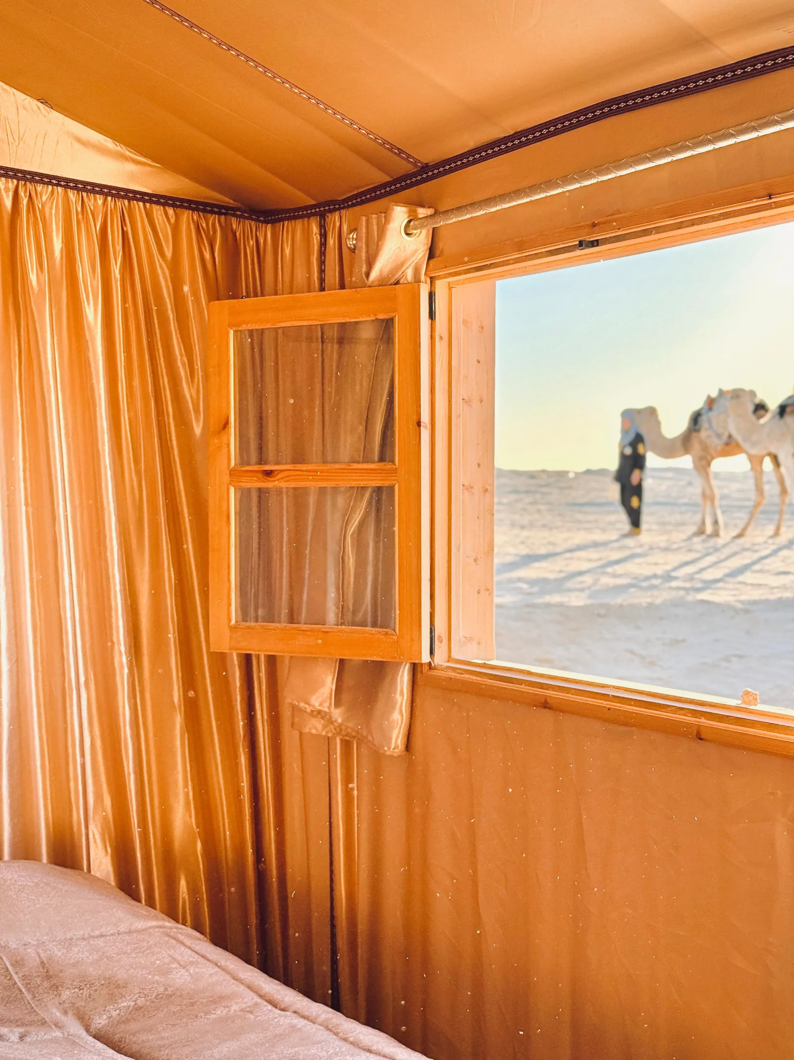Inside a Bedouin tent, looking out at camels on the sand