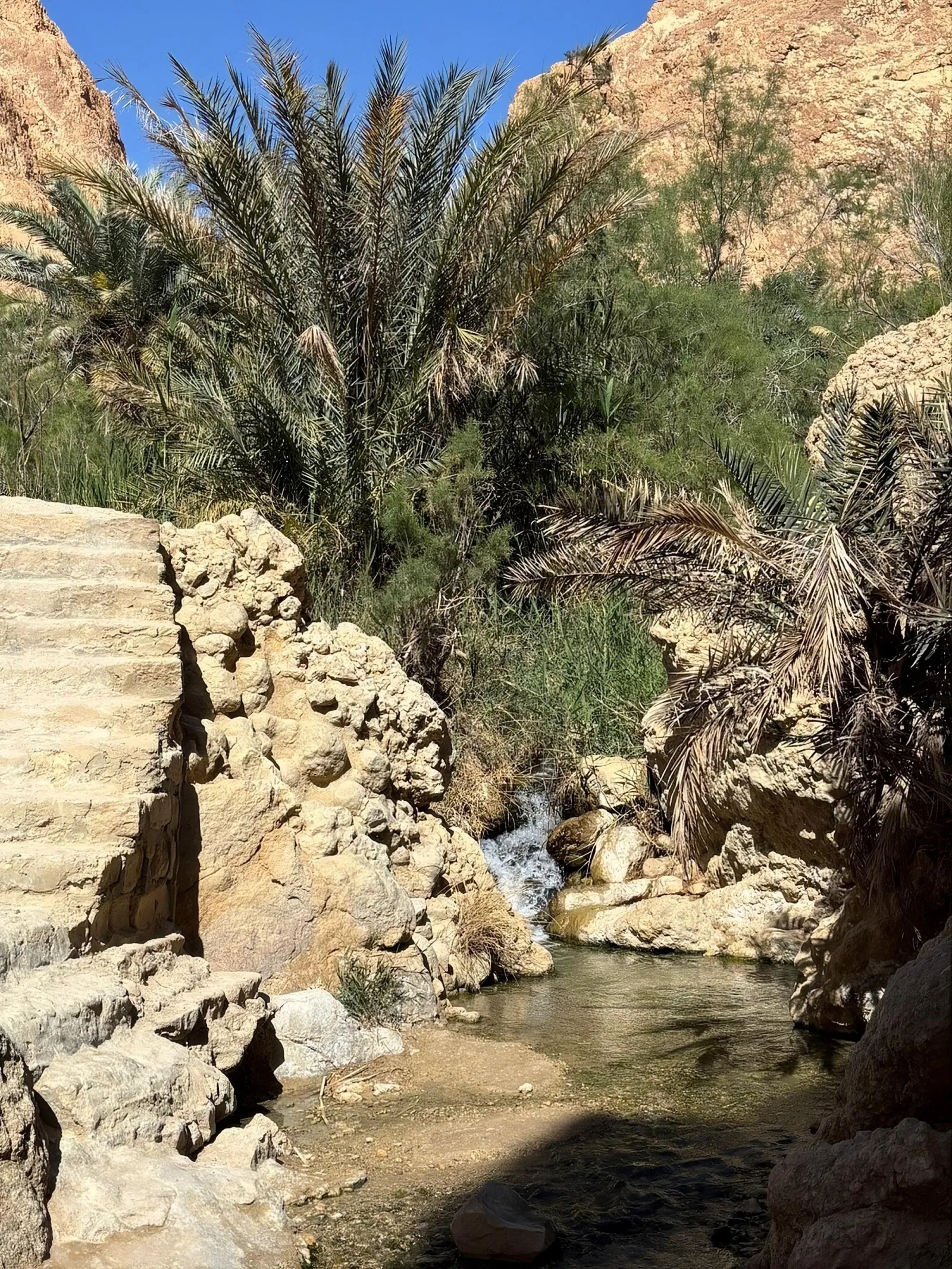 The spring and palms in the rock cleft at Chebika
