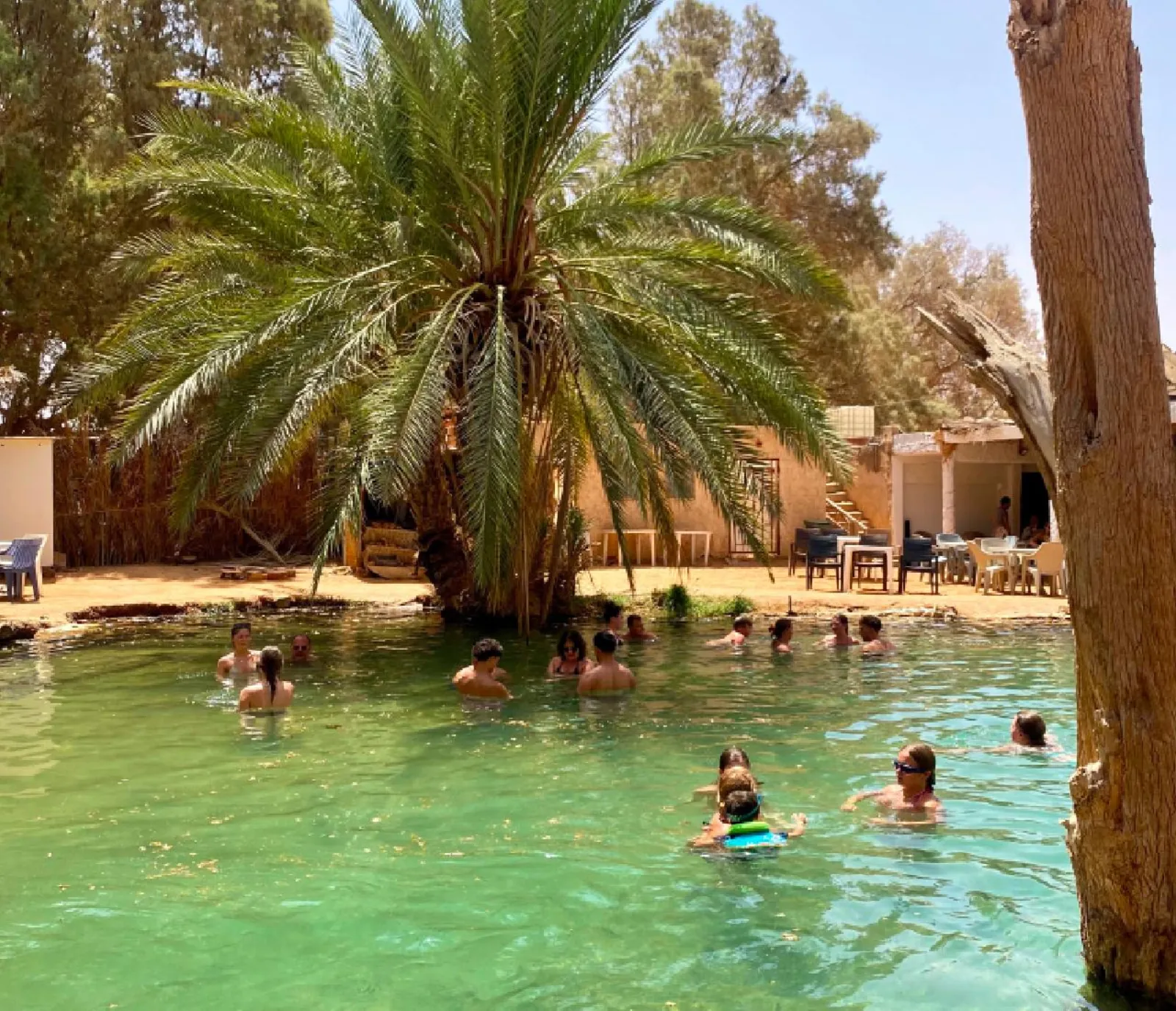 Swimmers under the palms at the Ksar Ghilane pool
