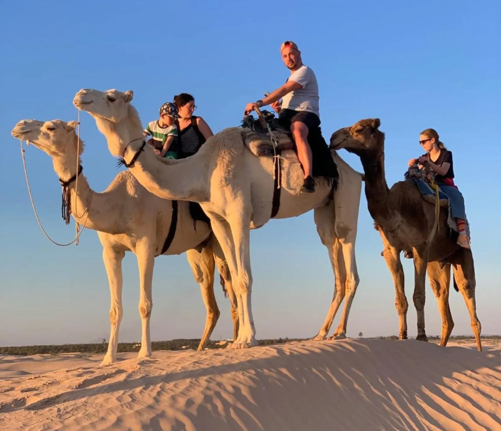 Riders on camels at the edge of the dunes