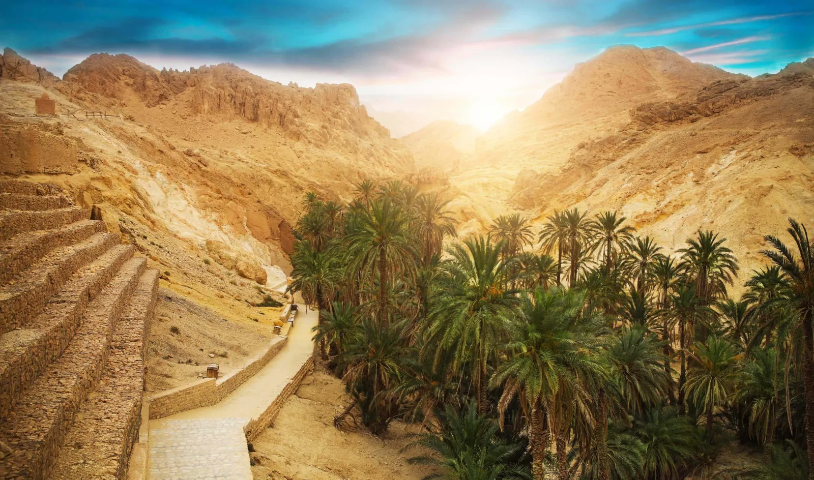Palm terraces and a stream in the mountain oasis at Chebika