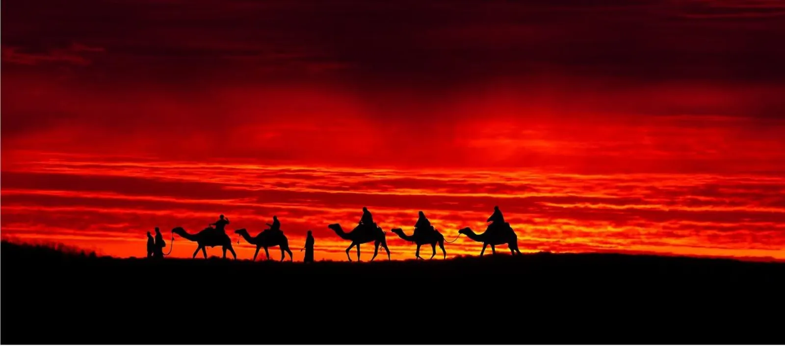 Camel riders silhouetted against a red Saharan sunset