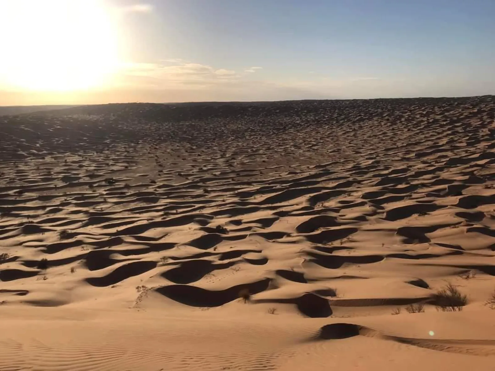 Wind-rippled dunes stretching to the horizon