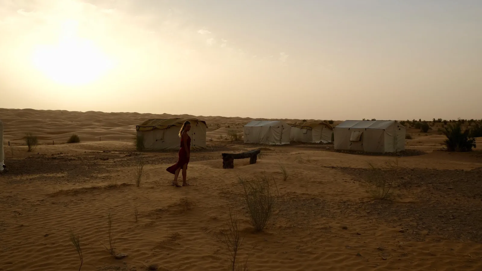 The tents of a desert camp at dusk on the open sand