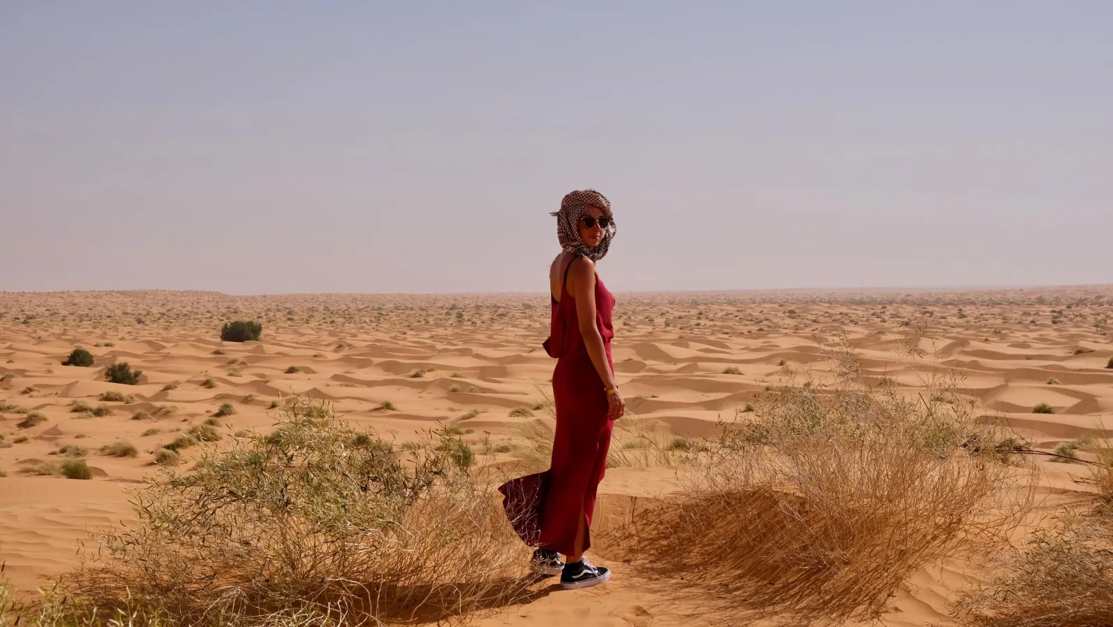 A traveller standing on the sand at the desert's edge