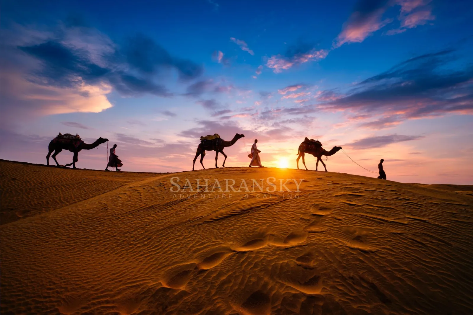 Douz: Overnight Camp with Dinner, Sunset & Sunrise by Camel