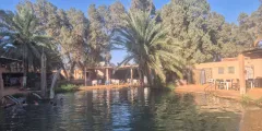 Guest photo from review