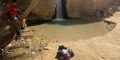 Guest photo from review